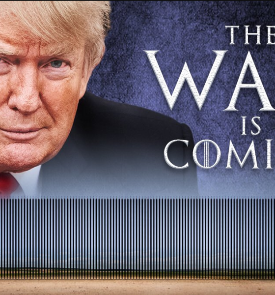 The wall is coming Trump poster